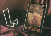 Wire Brochure Easel